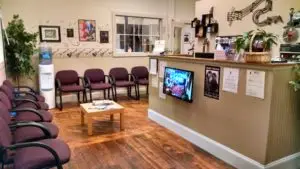 Cheapest Music And Voice Lessons