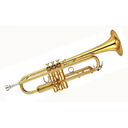 Flute, Trumpet and Saxophone Lessons in Manchester