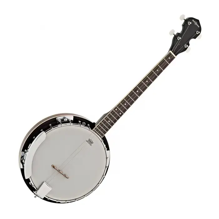 Banjo or Mandolin Lessons in Manchester NH